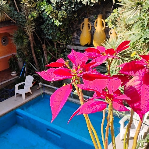 WhatsApp Image 2026-04-17 at 10.27.32 (5)